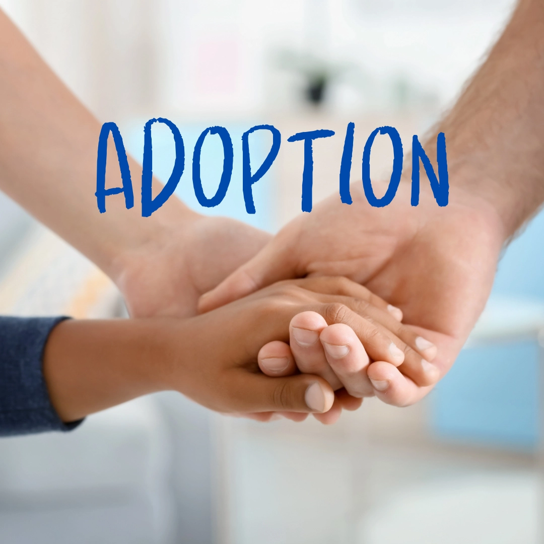 Hands of two parents holding a child's hand and the word Adoption.